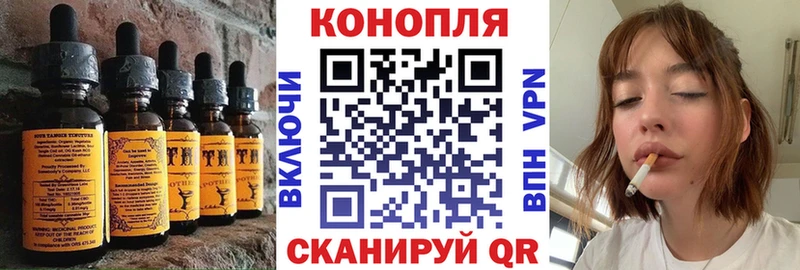 Canna-Cookies марихуана  как найти закладки  Черногорск 