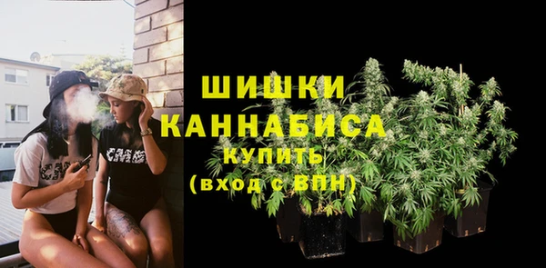 прущие грибы Абдулино