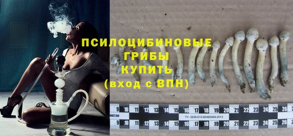 прущие грибы Абдулино