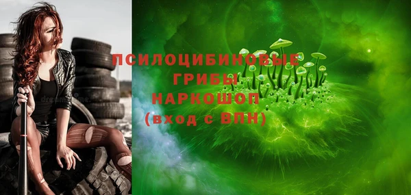 СК Михайлов