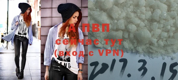 прущие грибы Абдулино