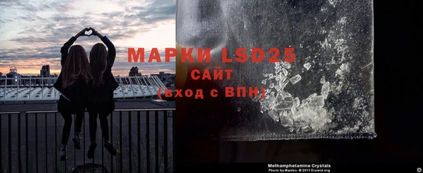 прущие грибы Абдулино