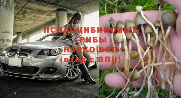 apvp Абинск