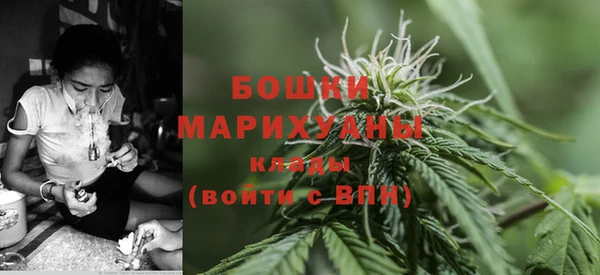 прущие грибы Абдулино