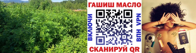 ТГК Wax  Черногорск 